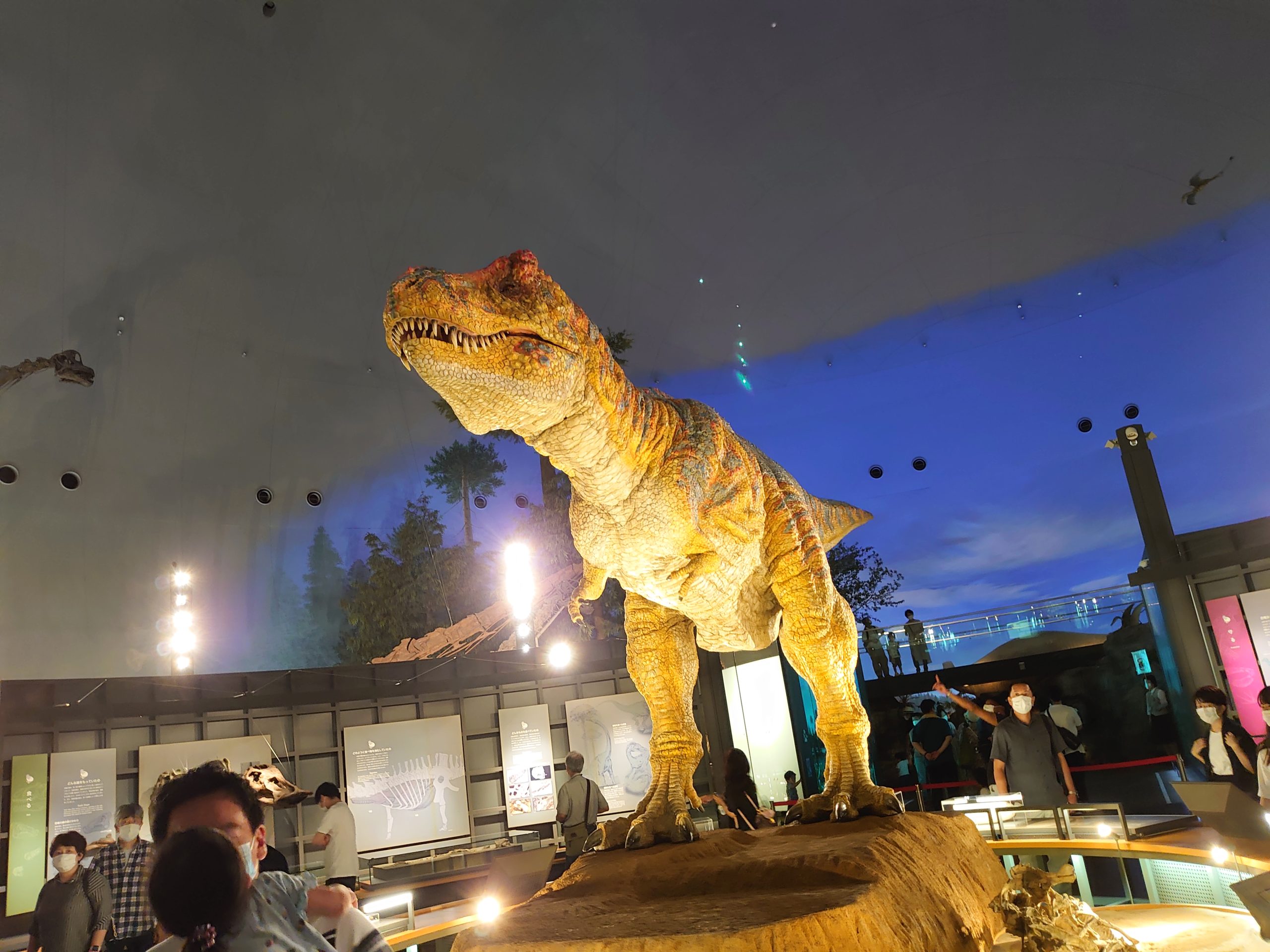 福井 恐竜 博物館 雨 の 日